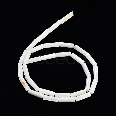 Freshwater Shell Beads Strands X-BSHE-L037-13-1