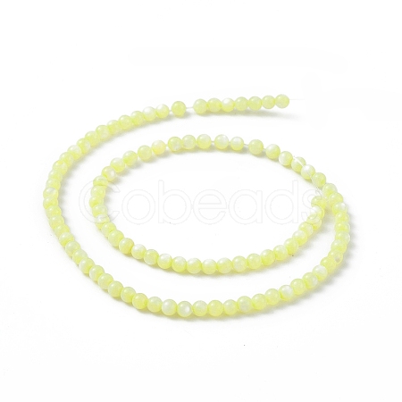 125Pcs Natural Freshwater Shell Beads SHEL-B002-01A-1