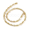 Natural Trochus Shell Beads Strands BSHE-G036-06A-2