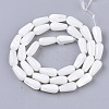 Natural Trochid Shell/Trochus Shell Beads Strands SSHEL-N032-04-2