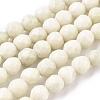 Natural Fossil Round Bead Strands X-G-O151-02-4mm-2