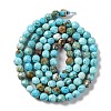 Natural Howlite Beads Strands G-C025-02C-06-3