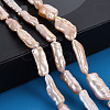 Natural Keshi Pearl Beads Strands PEAR-S020-H02-5