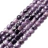 Natural Lepidolite/Purple Mica Stone Beads Strands G-B022-03-1
