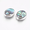 Natural Abalone Shell/Paua Shell Beads G-O168-13-3