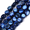 Natural Freshwater Shell Beads Strands X-SHEL-S276-110B-02-1