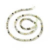 Natural Prehnite Beads Strands G-C009-A20-3