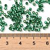 Glass Seed Beads X-SEED-S042-04B-28-4