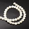 Natural Trochid Shell/Trochus Shell Beads Strands SSHEL-K012-05-2