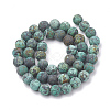 Natural African Turquoise(Jasper) Beads Strands G-T106-205-3