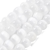 Natural Selenite Beads Strands G-B103-A01-06-1