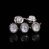 Natural Rainbow Moonstone Beads PW-WG6E28C-08-1