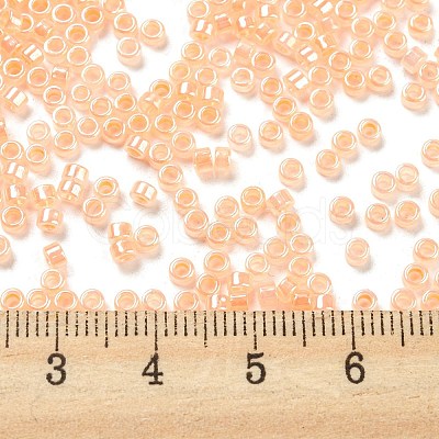 Electroplate Transparent Glass Seed Beads SEED-S042-16A-05-1