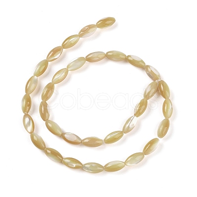 Natural Trochus Shell Beads Strands BSHE-G036-06A-1