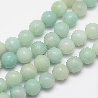 Round Natural Amazonite Bead Strands G-I183-02-10mm-1