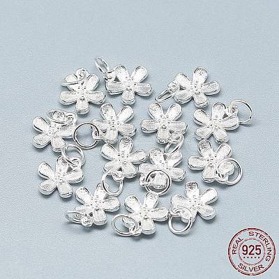 925 Sterling Silver Charms STER-T002-63S-1