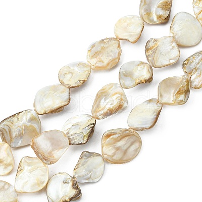 Handmade Shell Beads Strands PBB471-1-1