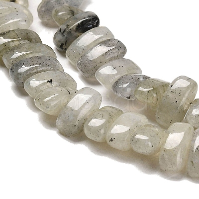 Natural Labradorite Beads Strands G-Q167-B19-01-1