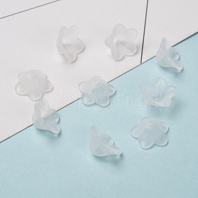 Transparent Acrylic Beads PL560-1-1