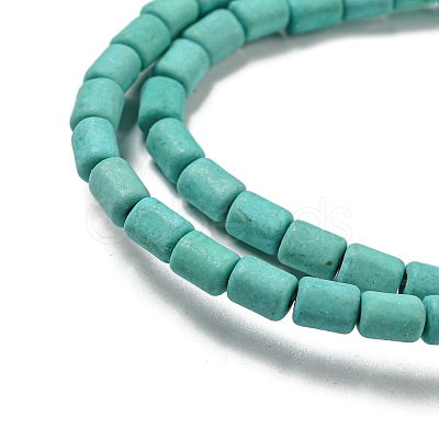 Dyed Synthetic Turquoise Beads Strands G-G075-A02-01-1