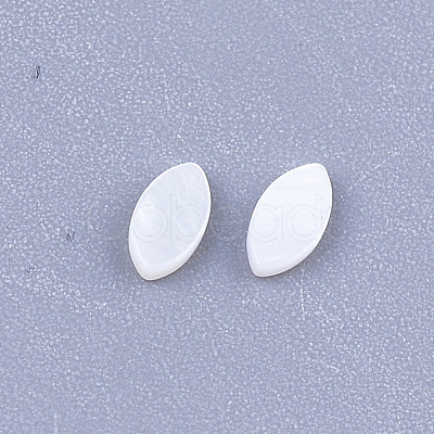 Freshwater Shell Cabochons X-SHEL-S274-91-1