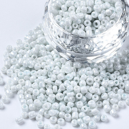 Glass Seed Beads SEED-S061-A-979-1