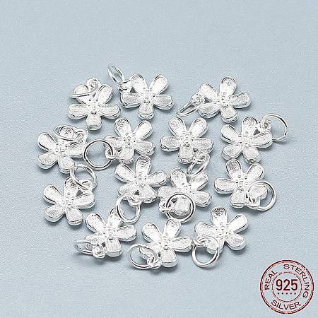 925 Sterling Silver Charms STER-T002-63S-1