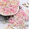 Glass Seed Beads, Opaque Colours Luster, Peanut, Pink, 6x3x3mm, Hole: 1.2mm, about 4000pcs/pound