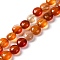 Natural Red Agate Beads Strands, Flat Round, 7.5~8x4.5~5mm, Hole: 1.2mm, about 50~51pcs/strand, 14.57~15.35 inch(37~39cm)