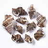 Natural Spiral Shell Beads SSHEL-S258-88-2