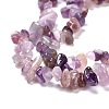 Natural Amethyst Beads Strands G-P332-07-5