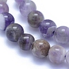 Natural Amethyst Beads Strands G-L552H-03A-2