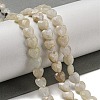 Natural Rainbow Moonstone Beads Strands G-P544-E06-01-2