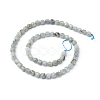 Natural Labradorite Beads Strands G-I270-04-2