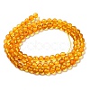 Natural Amber Beads Strands G-Q1006-01B-2