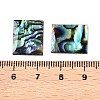 Natural Paua Shell Rectangle Cabochons SSHEL-T017-11-3