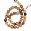 Natural Agate Bead Strands G-R346-12mm-24-2