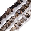 Natural Smoky Quartz Beads Strands G-B072-C01-01-1