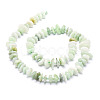 Natural Myanmar Jade/Burmese Jade Beads Strands G-E569-J14-2