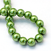 Baking Painted Pearlized Glass Pearl Round Bead Strands HY-Q003-10mm-13-4