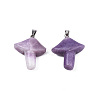 Natural Amethyst Pendants G-R480-02L-2