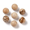 Natural Picture Jasper No Hole Sphere Beads G-K353-04B-15-1