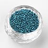 Baking Paint Cylinder Seed Beads SEED-R041-11-3