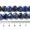 Natural Sodalite Beads Strands G-R190-10mm-37-5