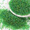 6/0 Round Glass Seed Beads X-SEED-J011-F6-167-1