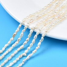 Natural Cultured Freshwater Pearl Beads Strands PEAR-N012-02F