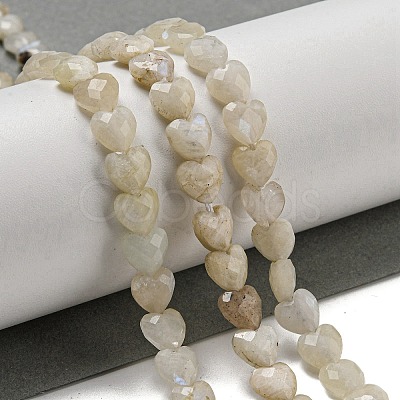 Natural Rainbow Moonstone Beads Strands G-P544-E06-01-1