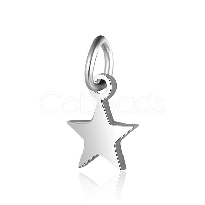 Tarnish Resistant 201 Stainless Steel Charms STAS-S105-T554D-6-1-1