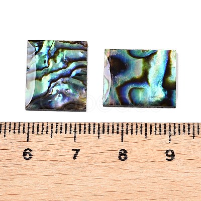 Natural Paua Shell Rectangle Cabochons SSHEL-T017-11-1