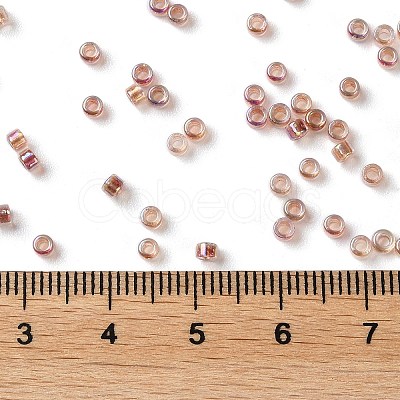 Glass Seed Beads X-SEED-S042-13A-17-1